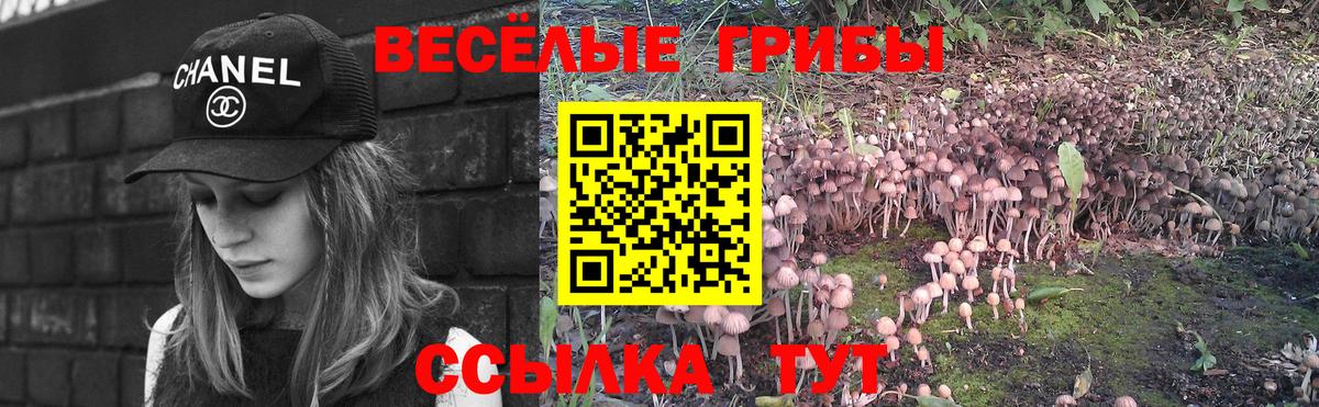 Улан-Удэ  Галлюциногенные грибы мицелий  Вход с VPN 