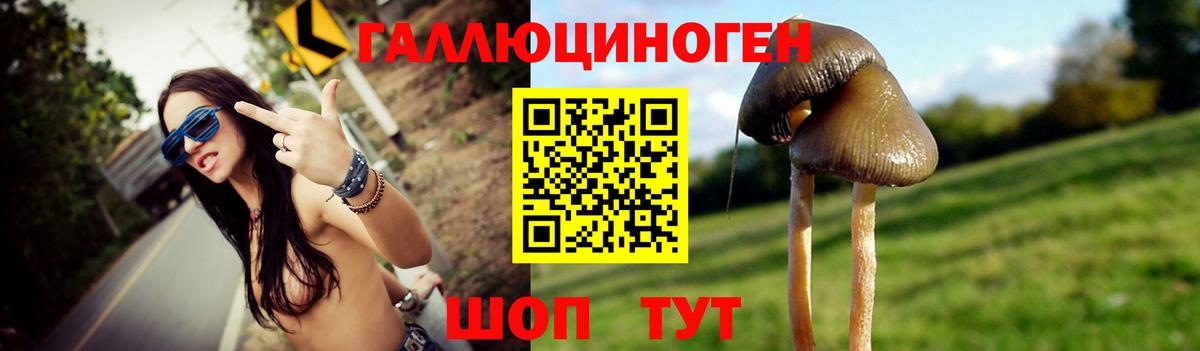 Галлюциногенные грибы Cubensis Улан-Удэ